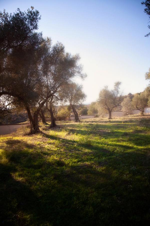 Finca Palmers Dos Mijas Exteriör bild